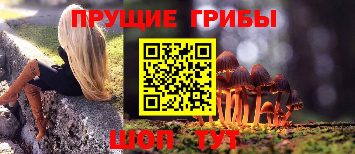 Псилоцибиновые грибы Magic Shrooms Рославль