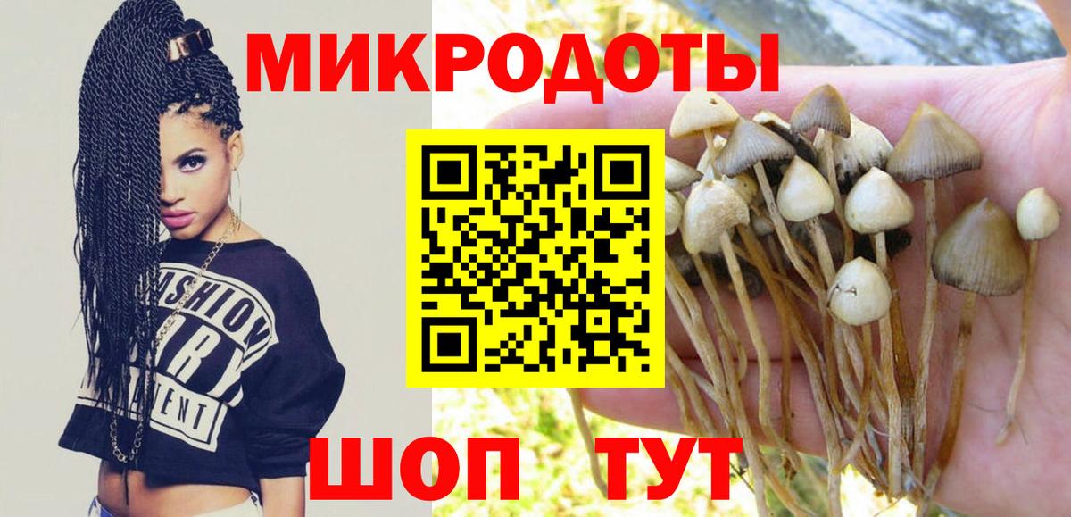 Галлюциногенные грибы Psilocybine cubensis  Вход с VPN  Рославль 